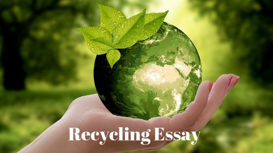 Recycling Essay in English