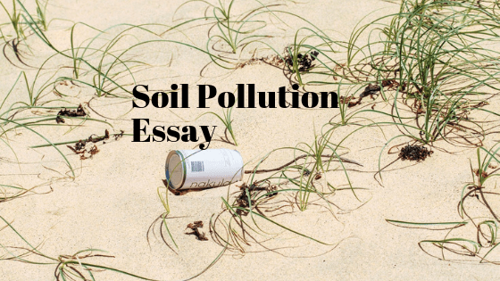 Soil Pollution Essay