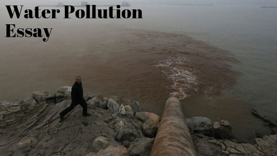 essay on pollution water in english