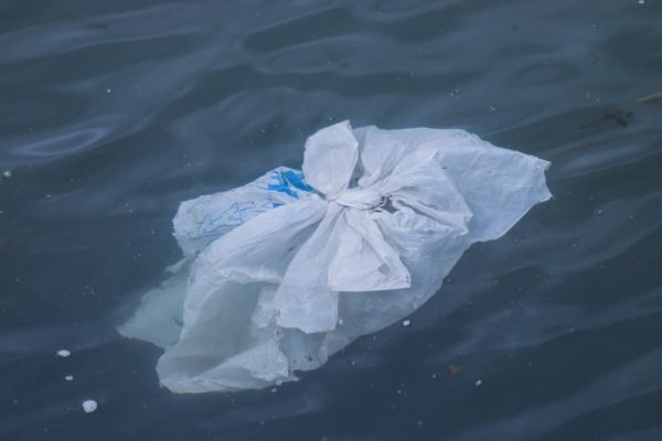 plastic bag floating on water